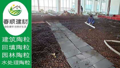 江西濾料廠家供應水處理沉水生物陶粒 輕質(zhì)粘土陶?！?></a></div>
                    <div   id=